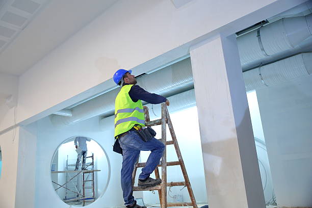 Best Black Mold Removal  in Twin Lakes, NM